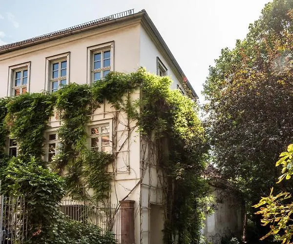 Am Dom Apartman Naumburg